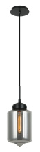 Matteo Lighting C41401SM - Irresistible Organic Charm Smoke Pendant